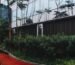 Konsep Green Building: Fasad, Vertical Garden, dan Efisiensi
